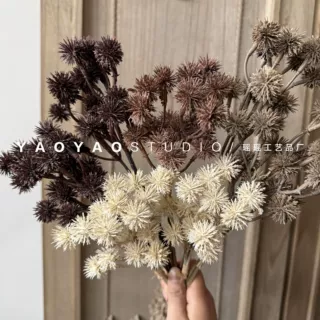 家居摄影道具装饰把束野刺球 板栗果秋色果实插花配材干果花艺
