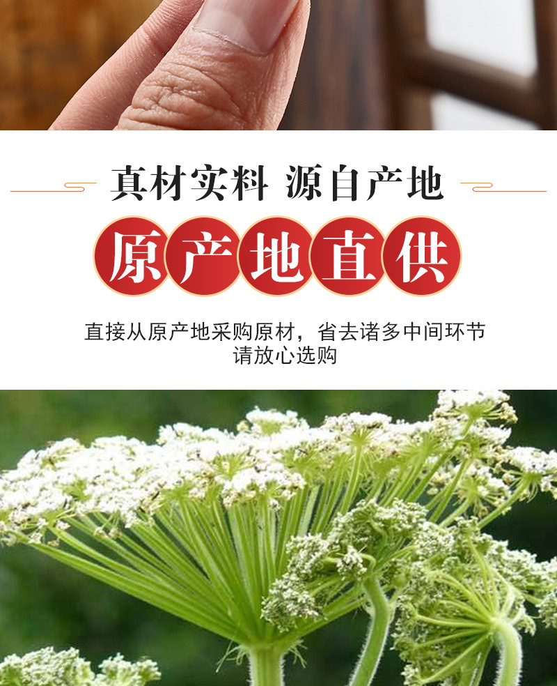 Bai Zhi Slices (Angelica dahurica) — Dried Food-Herb Root for Soups, Teas & Culinary Blends quality and texture
