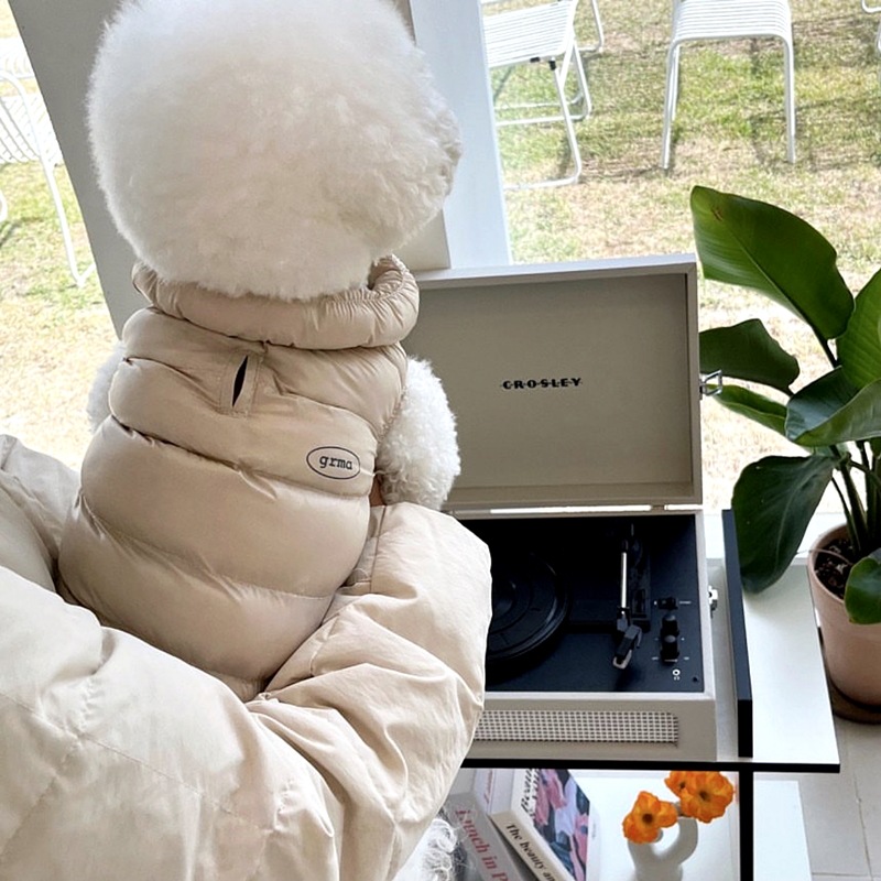 Otoño y invierno para perros coreanos Morandi simple chaleco de algodón caliente gato de dos patas peluche ropa de perro mascota