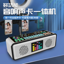 X10多功能蓝牙音响声卡一体机直播卖货唱歌喊麦调音变音声卡批发