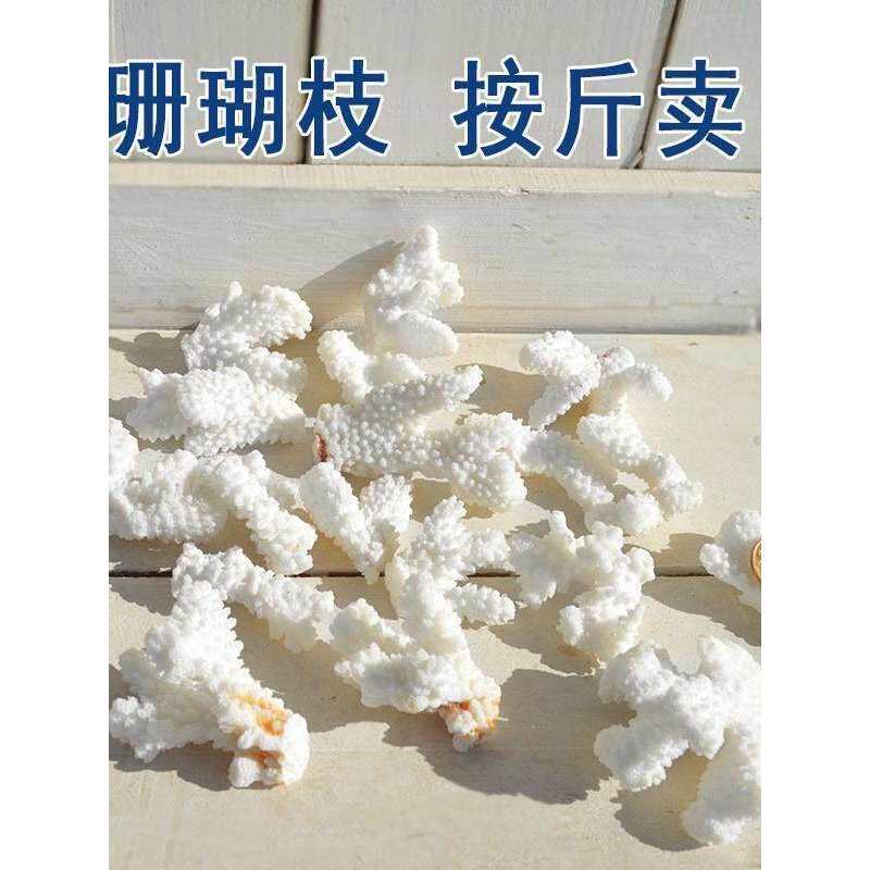 珊瑚石真珊瑚碎枝鱼缸底部装饰铺底地台装饰木珠红玛瑙其他