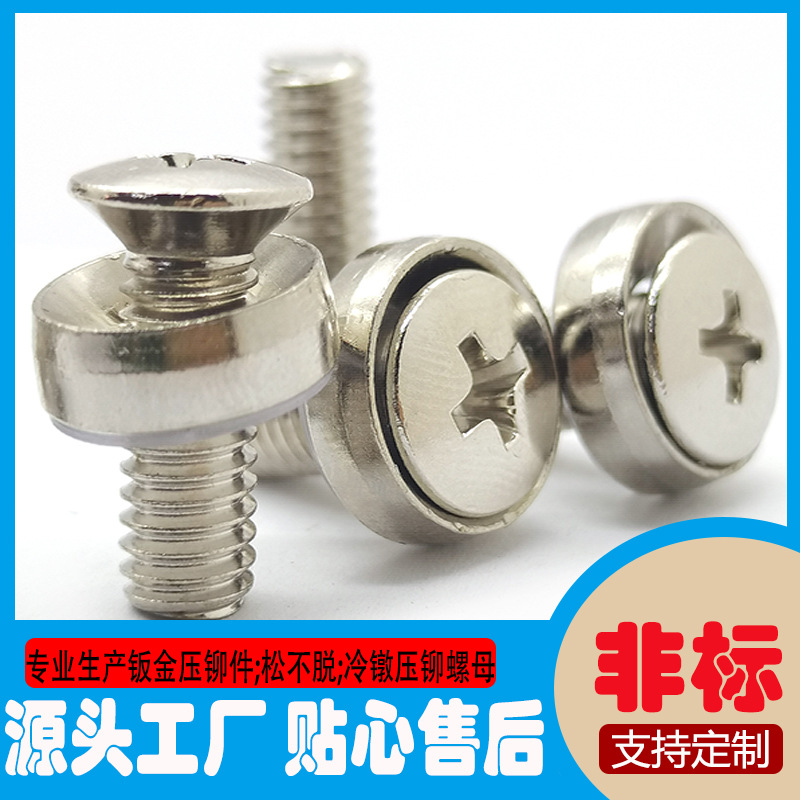 批发五金面板装饰螺钉CHDS-M6*1尼龙皇冠装饰钉 不锈钢螺钉装饰钉