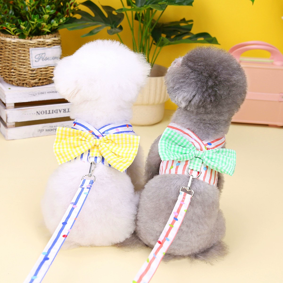 Домашнее животное Бабочка Нагрудная спина Жилет для собак Одежда для домашних животных Весна и лето Новый 22 Вертикальный лук Нагрудная спина