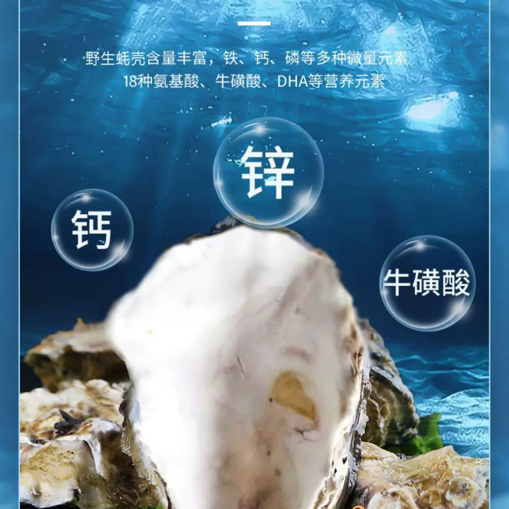 大量批发牡蛎壳上壳生蚝壳海蛎壳过滤贝壳水族箱