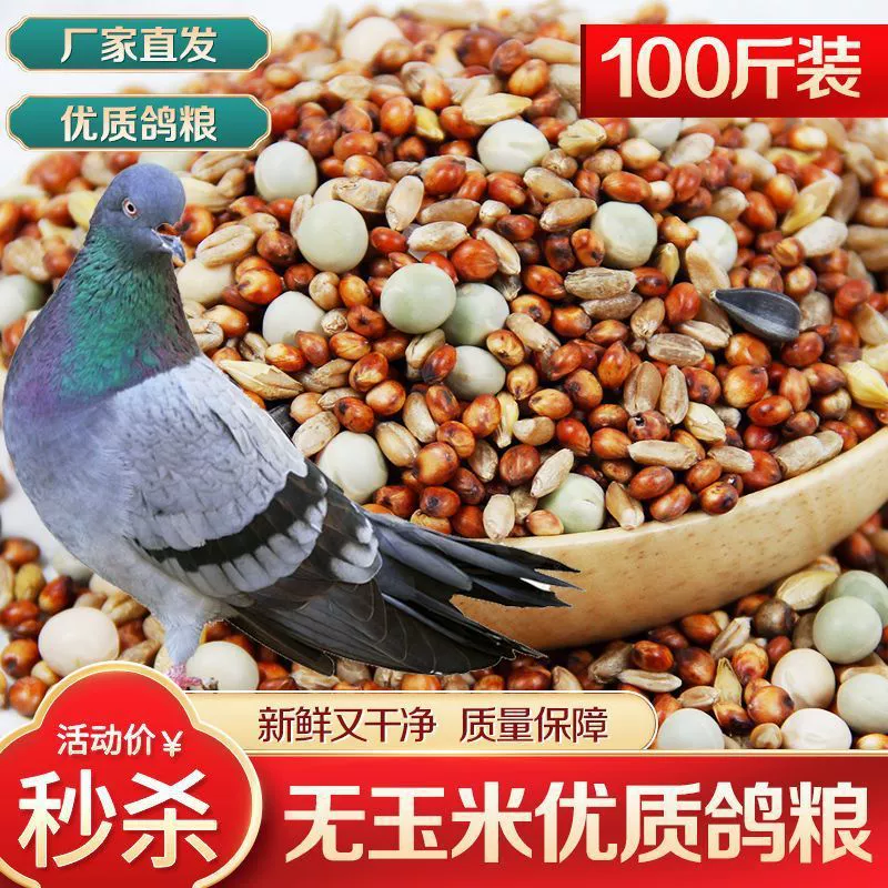 Корм для голубей 100 кг 5 кг оптовая цена корма для голубей Молодые голуби становятся голубями
