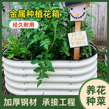 ��\��Nֲ���@�ֻ��@¶�I���ٲ˴����@�˴��N�˴��Nֲ�仨�@���l