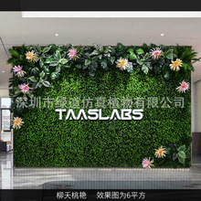 【柳夭桃艳】仿真植物墙1平方阳台塑料假草坪花墙面壁挂室内背景