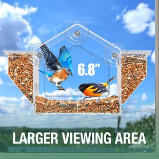 ���R�d�羳��ƷWindow Bird Feeder ���ⴰʽ�B�ιʳ��͸���B��