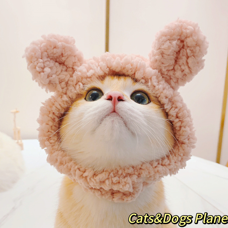 猫かわいい面白い女装帽子ペット帽子ゴールデングラデーション英国ショートヘアデボン犬ハンバーガーヘッドギア漫画帽子|undefined