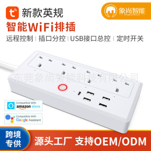 Graffiti Smart Socket wifi smart socket USB Type-c multi-function charging wifi smart plug strip