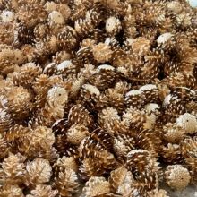 �}�Q�b�Ʒ���������ɹ� diy�������}�Q�����h��Ȼ�ɹ�