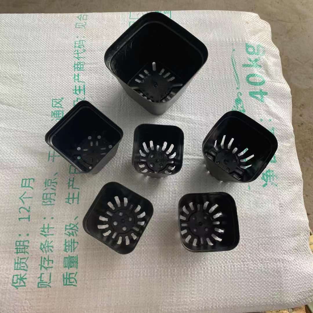 ΢��ͼƬ_20210802160608