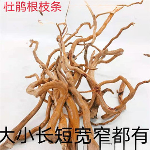 Azalea root branch water submerged tree root fine branch South American pot branch micro landscape landscape landscape rattan dragon beard root