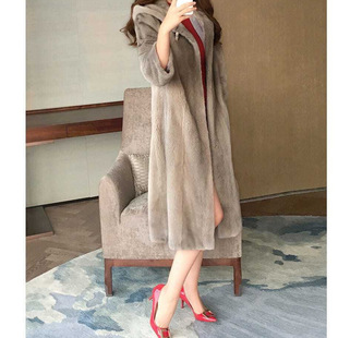 ���Z�qˮ��Ƥ�������¿�2025����Ƥ����Ů�������L���Bñ�M���y�m