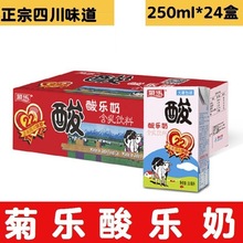 菊乐酸奶酸乐奶含乳饮料250ml*24盒/箱