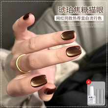 �ﶬ����ɫ؈��ָ�����z2025���¿����������²���������ɫ؈���z