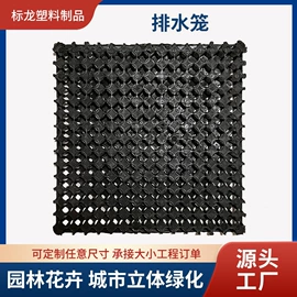 排水板;塑料建材;工地施工材料