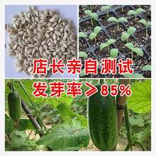 ��GС���ϷN�Ӵ���ͥԺ�NֲС�����ļ��߮a��Ƥ�󶬹�����С����