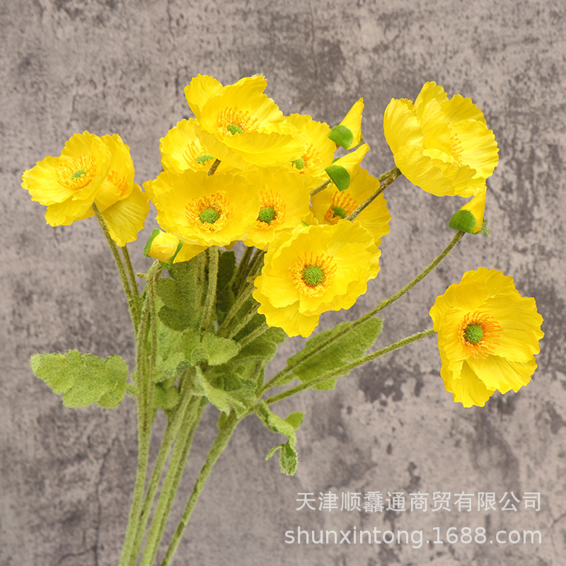 植绒春款虞美人黄色1.jpg