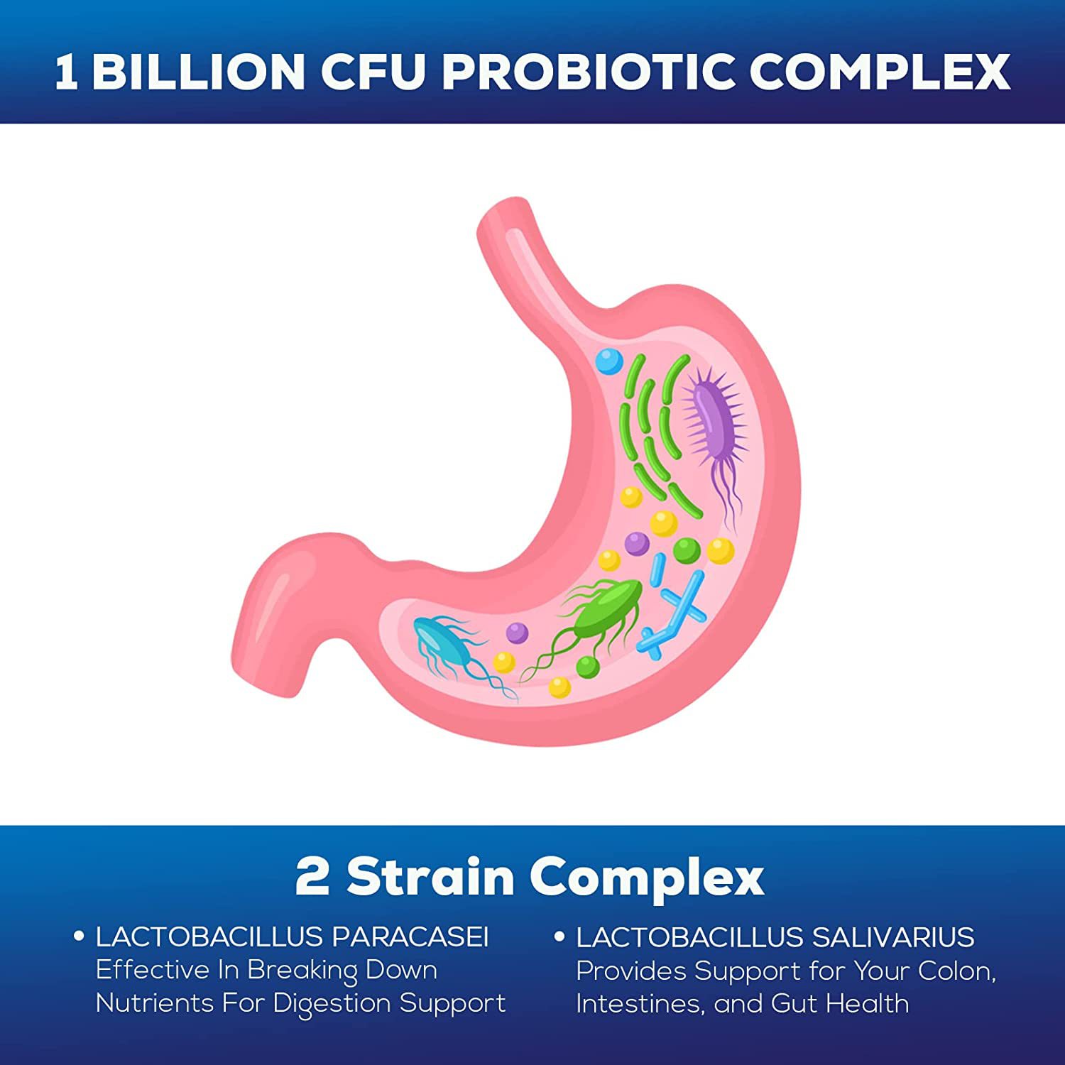 O1CN01cy7fkM2A3pus1Yeri_!!2208749218148-0-cib.jpg?__r__=1660212342677