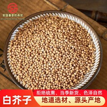���l��ș��Ұ���׽���500g�׽��ӷۃ��|�S�׽���ɢ�b�����������