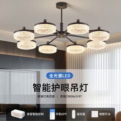 2025新型客間シャンデリア現代シンプル大気式軽贅沢高級感食堂灯全屋コースセット