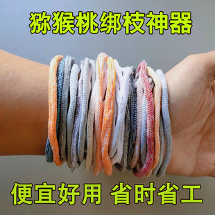 �J�������ѽ�֦�ϼ��KȦ���t�����ѵ������h�����׿���֦��������