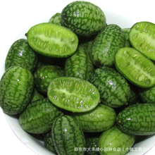 Ĵָ���ϷN����������С���Ͽ�ʳ���̨�����^�p��ɫ�߲�ˮ���N��