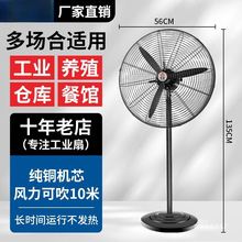 ���I��L�����ô�������Ȓ���ȴ��L���젝�͏d�ڒ��ȼ��~