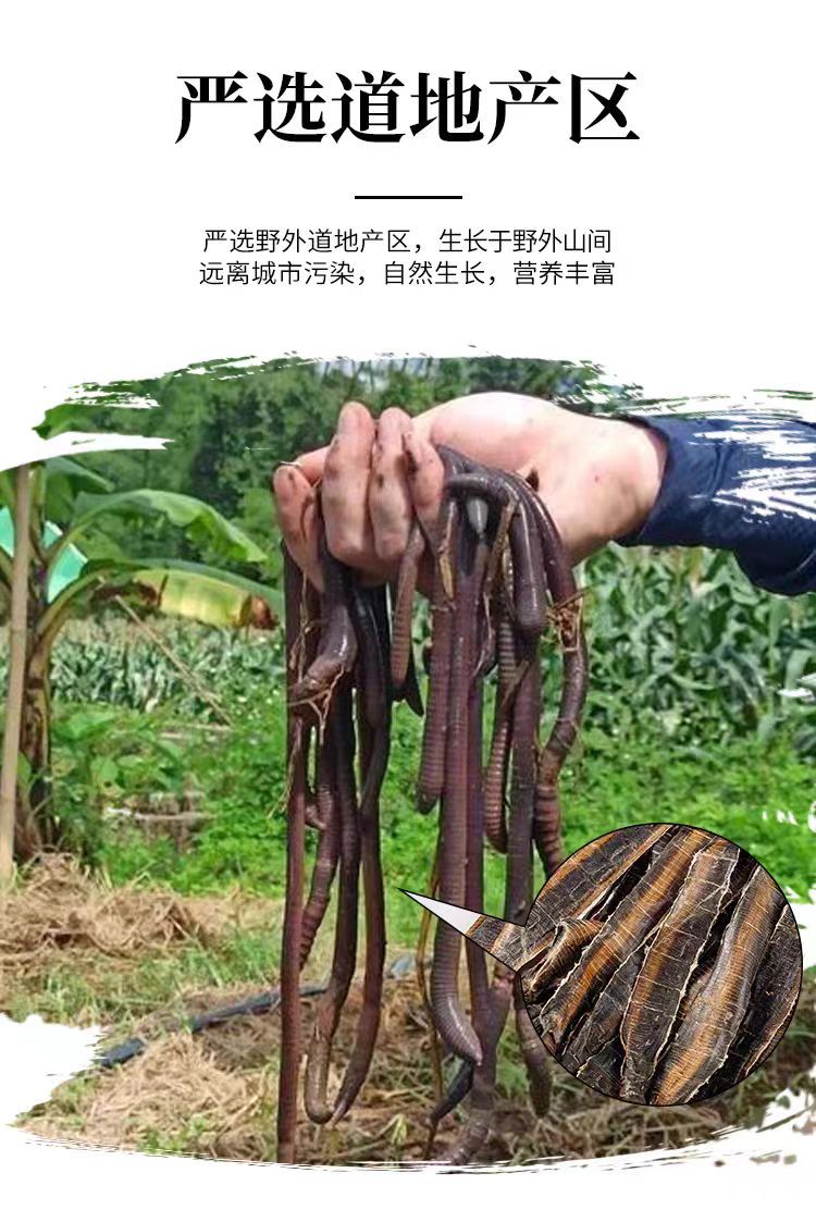 Di Long Dried Earthworm (Pheretima aspergillum) — Clean Split Food-Herb Decoction Pieces, 500g overview