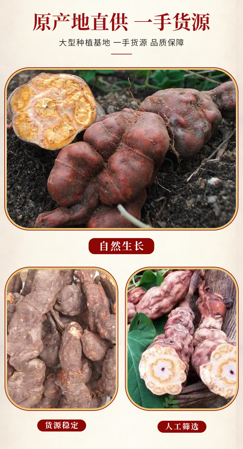 何首乌_02.jpg