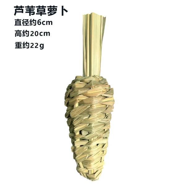 Reed grass radish