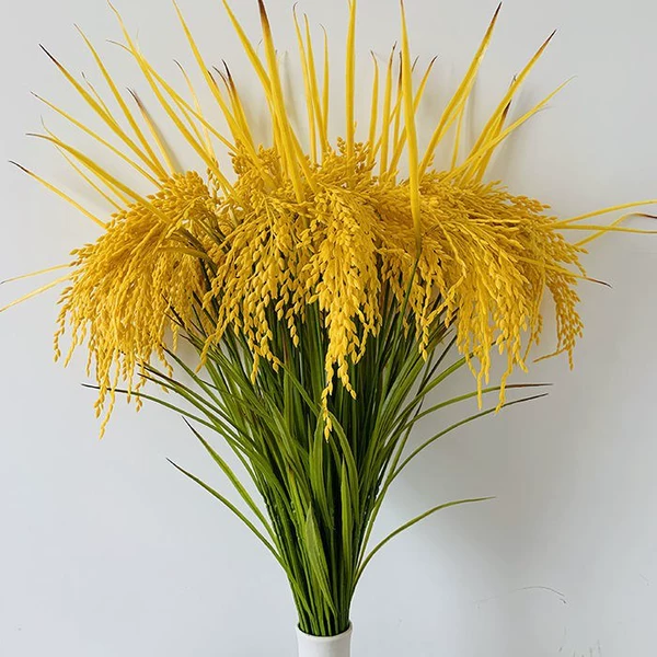 30 rice yellow