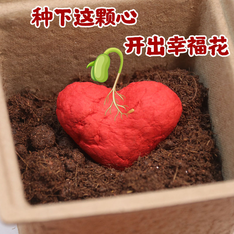 立体种子纸卡小花花玫瑰花中秋节七夕爱心种植种子发芽纸礼品定制|undefined