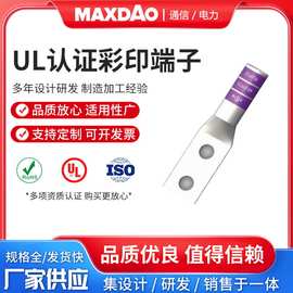 带检测孔铜鼻子接头供应AWG4/0#彩印双孔冷压接头线缆接线端子