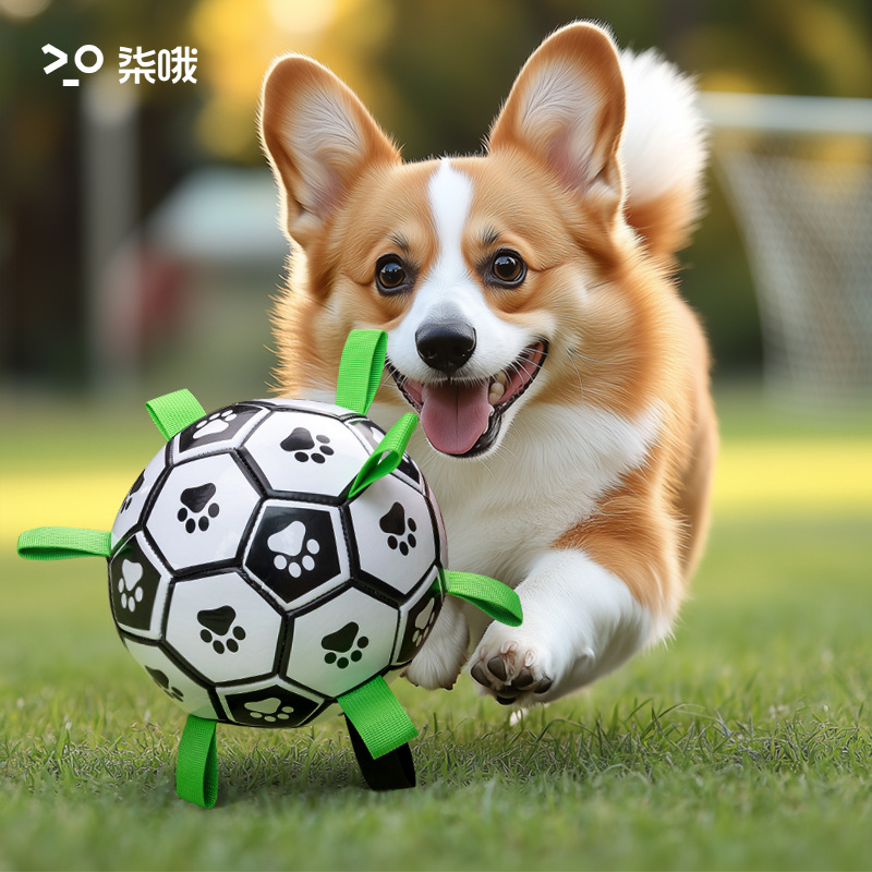 개 장난감 볼 테두리 목가적 인 셀프 하이 장난감 래브라도 코기 훈련 특수 개 축구 물린 방지 애완 동물 용품