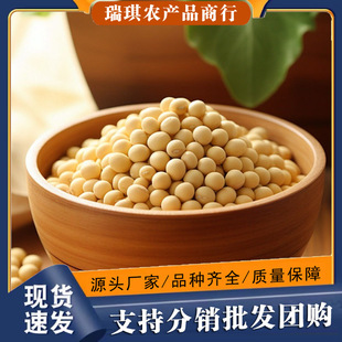 �S���|���r���ԷN�󶹰l��ѿ��ȼZ�Ҝ��I�B��ʹ򶹝{��500g