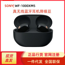 Sony/索尼WF-1000XM5入耳式真无线蓝牙耳机降噪豆5智能AI运动跑步