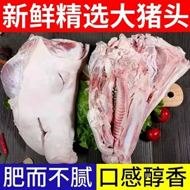 其他行业专用;炊事设备;休闲食品加工