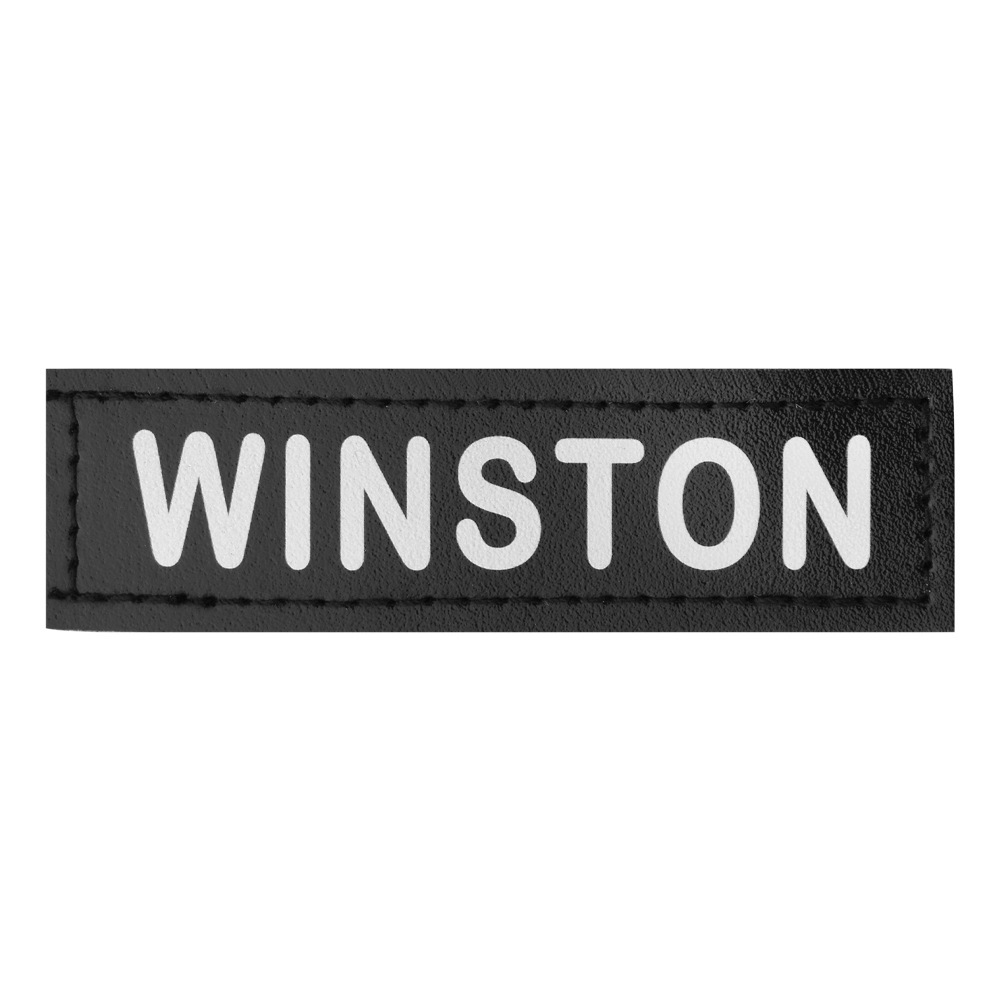 Personalized Customized Pet Name Plate detail photo 1