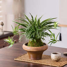 ����ˮ�ɻ������մɲ廨������߅���m̦�\��ˮ������ʽ��ʽ�͹���