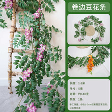 ��߅�����l��������ֲ����{�ܵ��p�@ů���ړ��Ҿ��bٻ��ٗl