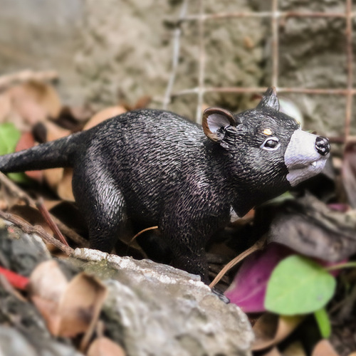 Children's simulated animal toy solid animal model Tasmanian devil Tasmanian devil cognitive gift ornaments
