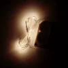 Golden warm lamp