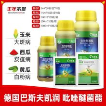 德国巴斯夫凯润吡唑醚菌酯乳油霜霉病叶斑白粉病农药杀菌剂8ml