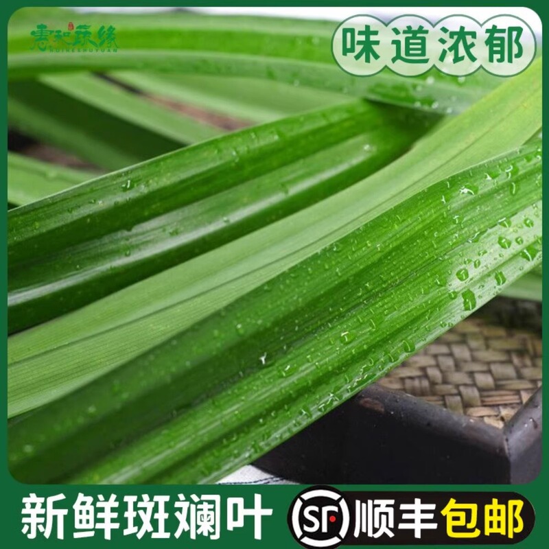 Fresh Pandan Leaves for Consumption, Commercial Use 500g, for Cakes, Baked Goods, Desserts, Mango Sticky Rice