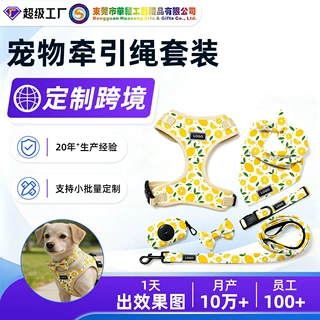 定制华松牵引绳套装宠物狗胸背带狗狗牵引绳宠物印花牵引六件套装