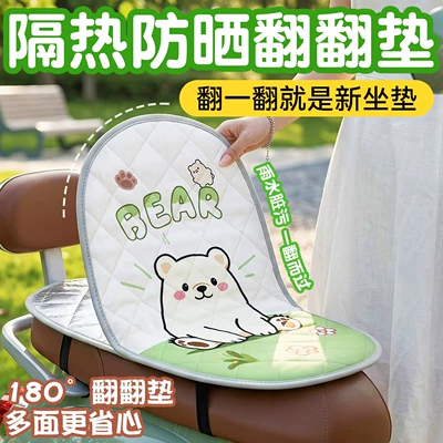 Electric car cushion: Flip-Up Pad Universal Double-Layer Heat
