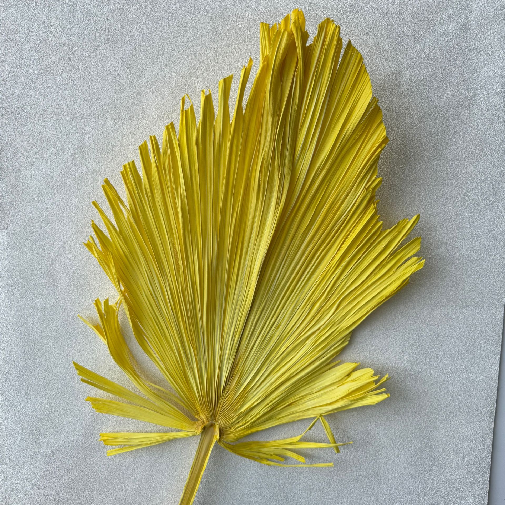 중간 트림 옐로우