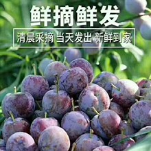 Ĵ֮lhRtÓɿڱ֭aֱlFժFl